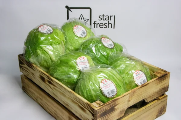 ladovy_salat